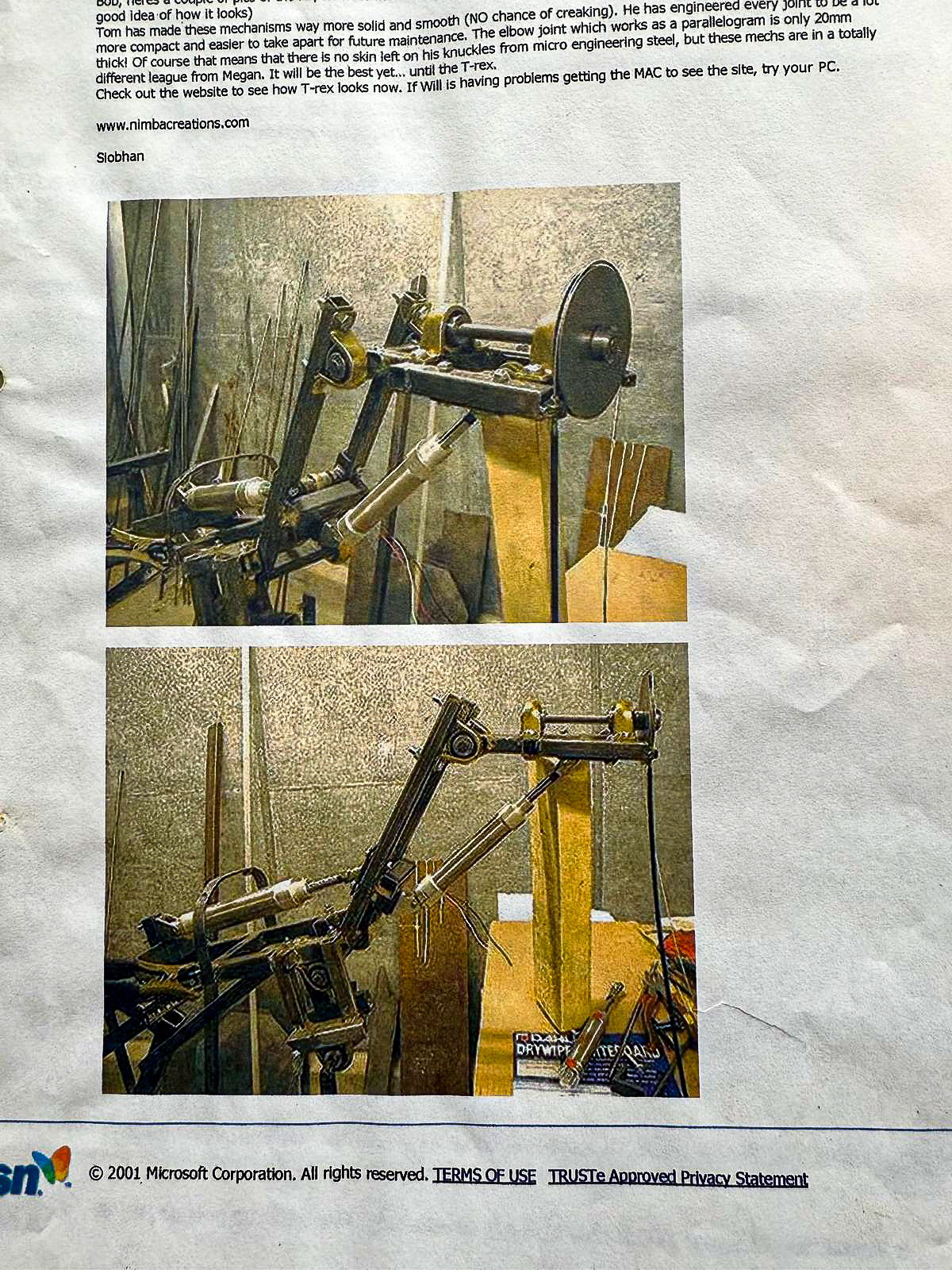 Allosaurus being built, image 2