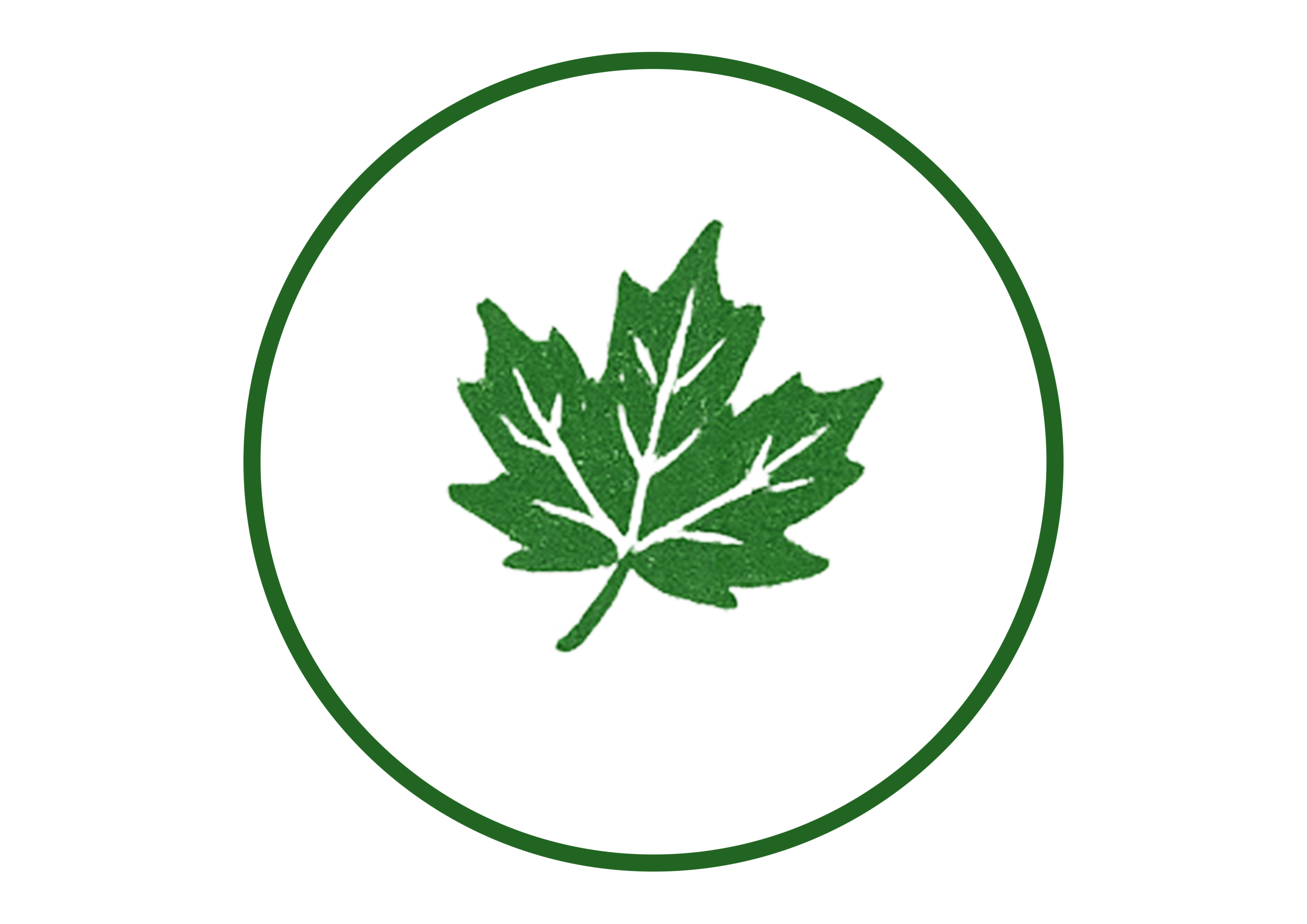 maple drift no writing